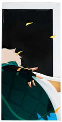 Hazumi Aileen 3500X Panels
